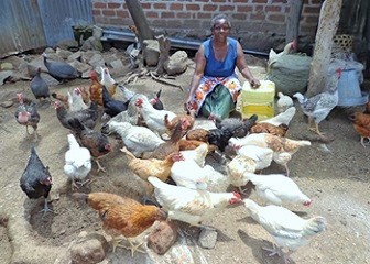 Poultry Keeping Tourism Mwanza